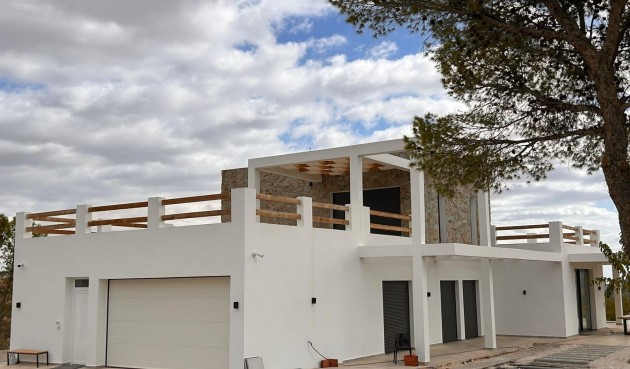 Obra nueva - Villa -
Pinoso - Casas Pastor