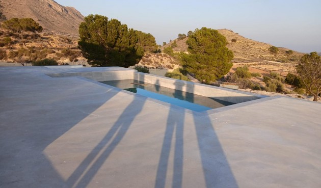Obra nueva - Villa -
Pinoso - Casas Pastor