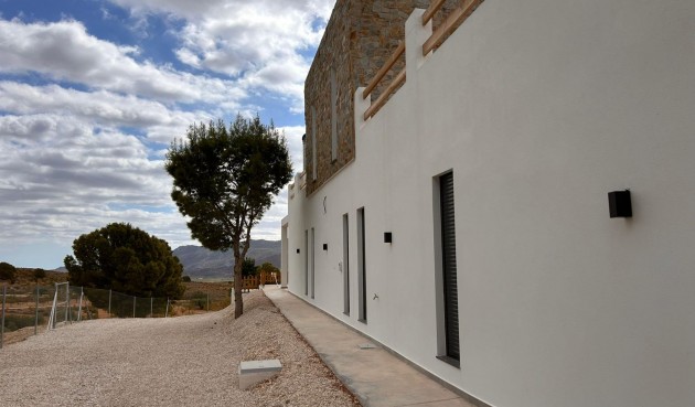 Obra nueva - Villa -
Pinoso - Casas Pastor