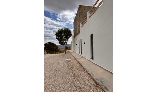 Obra nueva - Villa -
Pinoso - Casas Pastor