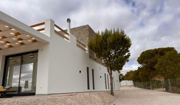 Obra nueva - Villa -
Pinoso - Casas Pastor