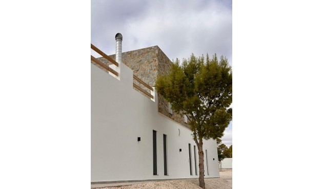 Obra nueva - Villa -
Pinoso - Casas Pastor