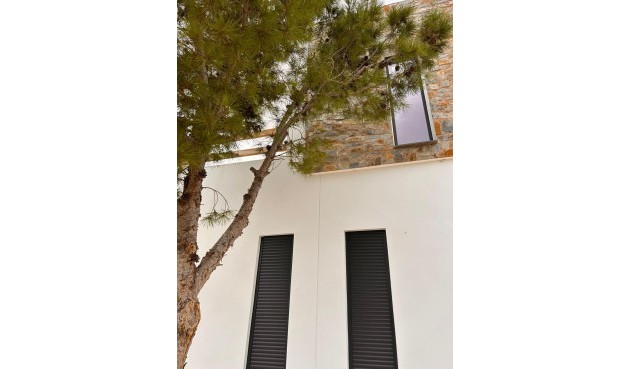 Obra nueva - Villa -
Pinoso - Casas Pastor