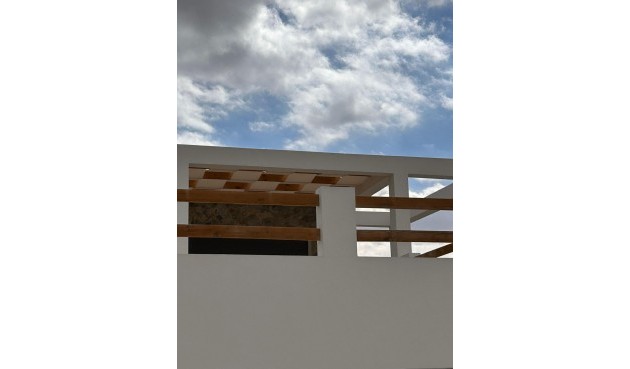 Obra nueva - Villa -
Pinoso - Casas Pastor
