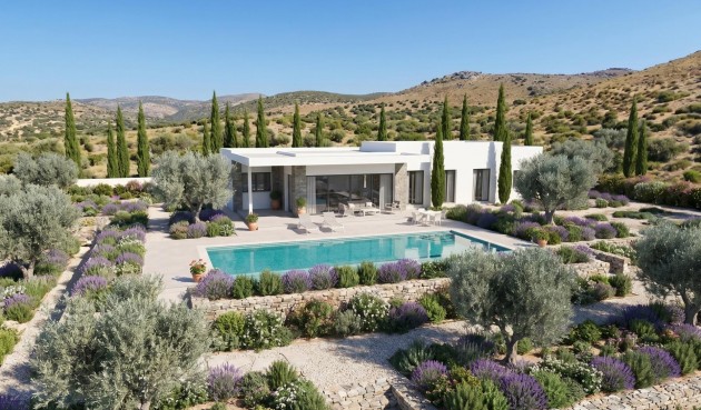 Obra nueva - Villa -
Pinoso - Casas Pastor