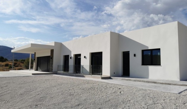 Obra nueva - Villa -
Pinoso - Casas Pastor