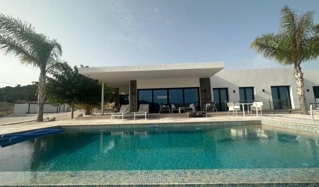 Obra nueva - Villa -
Pinoso - Casas Pastor
