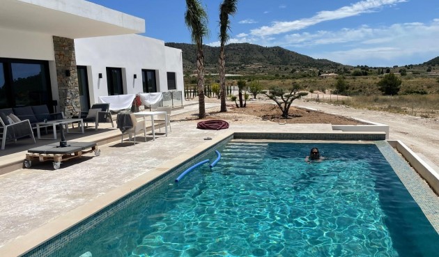 Obra nueva - Villa -
Pinoso - Casas Pastor
