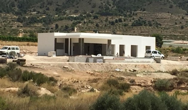 Obra nueva - Villa -
Pinoso - Casas Pastor