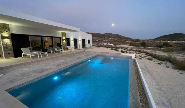 Obra nueva - Villa -
Pinoso - Casas Pastor