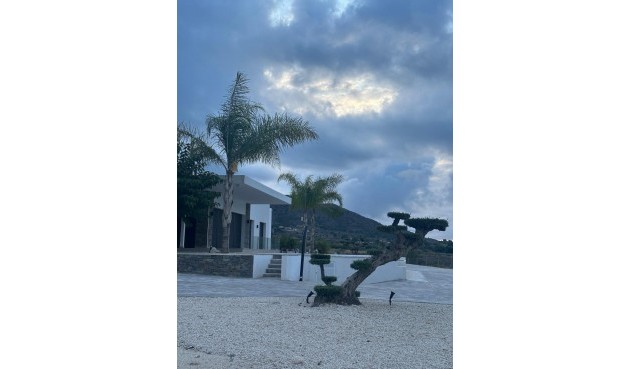 Obra nueva - Villa -
Pinoso - Casas Pastor