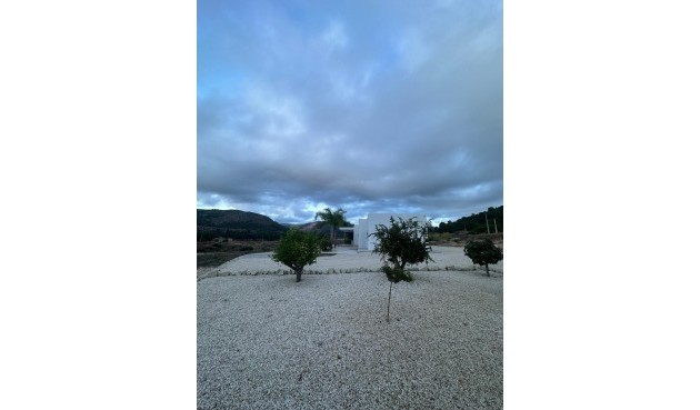 Obra nueva - Villa -
Pinoso - Casas Pastor