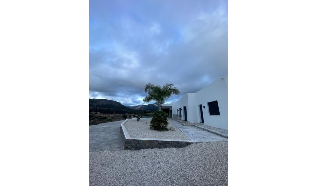 Obra nueva - Villa -
Pinoso - Casas Pastor