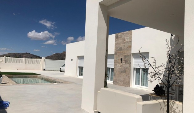New Build - Villa -
Pinoso - Casas Pastor
