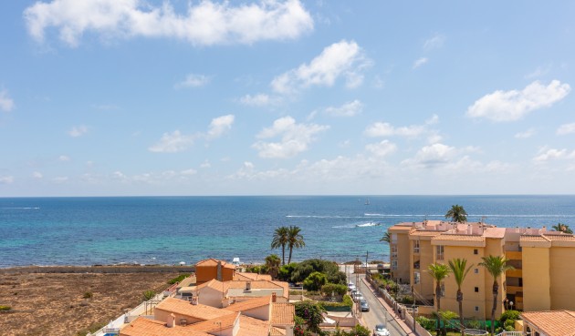 Reventa - Apartment -
Torrevieja - Costa Blanca