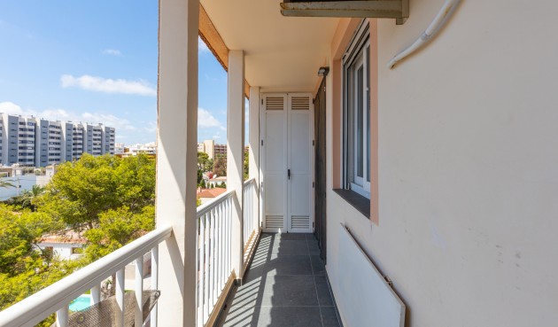 Reventa - Apartment -
Torrevieja - Costa Blanca