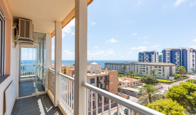 Reventa - Apartment -
Torrevieja - Costa Blanca
