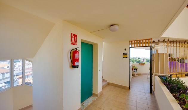 Reventa - Apartment -
Torrevieja - Costa Blanca