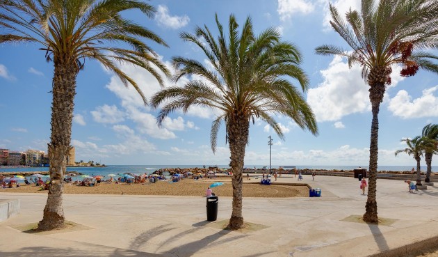 Reventa - Apartment -
Torrevieja - Costa Blanca