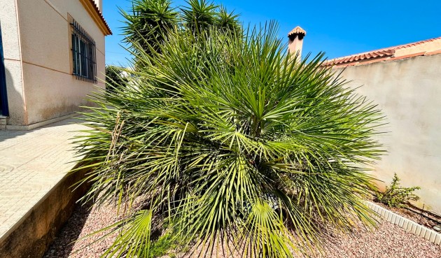 Reventa - Villa -
Torrevieja - Costa Blanca