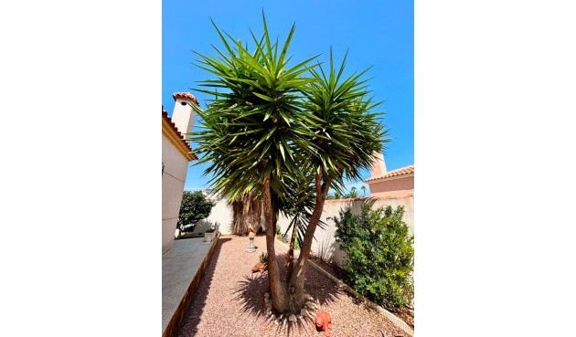Reventa - Villa -
Torrevieja - Costa Blanca