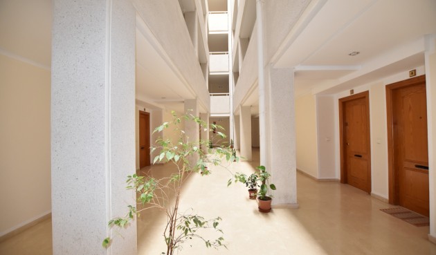 Reventa - Apartment -
La Mata - Costa Blanca