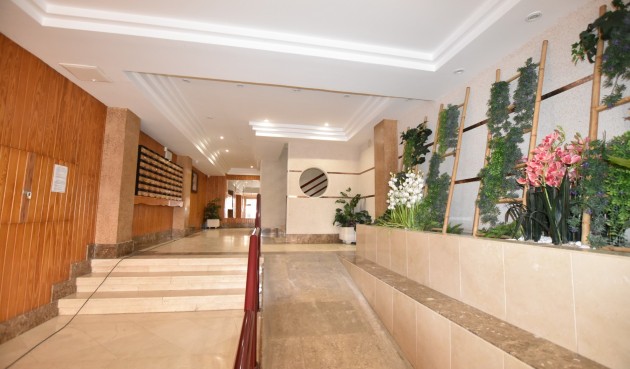 Reventa - Apartment -
La Mata - Costa Blanca