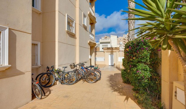 Reventa - Apartment -
Torrevieja - Nueva Torrevieja