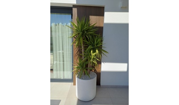 Reventa - Villa -
Rojales - Inland