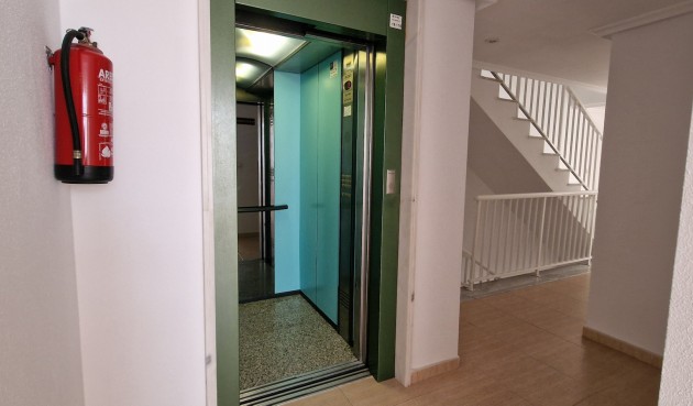 Återförsäljning - Apartment -
Guardamar del Segura - Costa Blanca