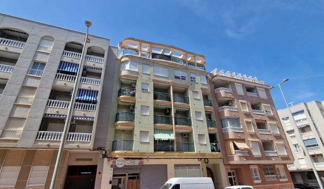 Återförsäljning - Apartment -
Guardamar del Segura - Costa Blanca