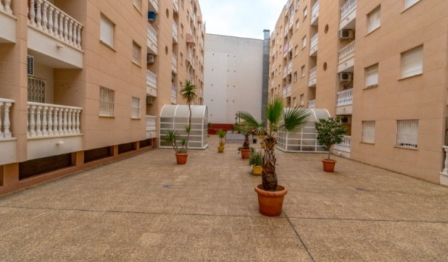 Resale - Apartment -
Torrevieja - Costa Blanca