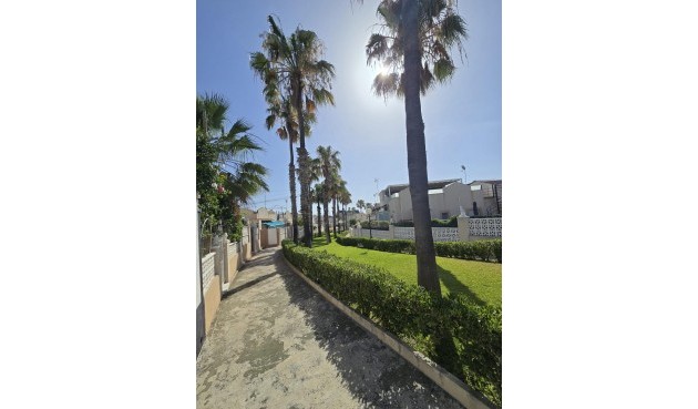 Återförsäljning - Bungalow -
Torrevieja - Los Balcones