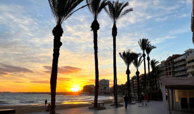 Återförsäljning - Apartment -
Torrevieja - Playa del Cura