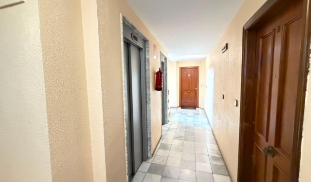 Brukt - Apartment -
Torrevieja - Centro - Muelle Pesquero