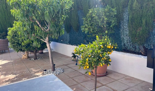 Resale - Semi Detached -
Torrevieja - Los Balcones