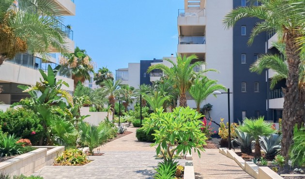 Resale - Apartment -
Orihuela Costa - Los Dolses