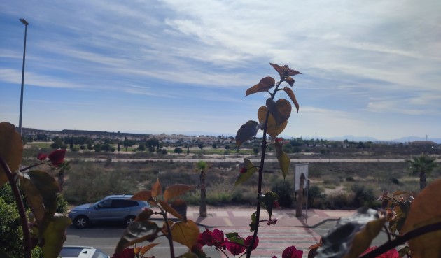Resale - Apartment -
Altaona Golf - Inland