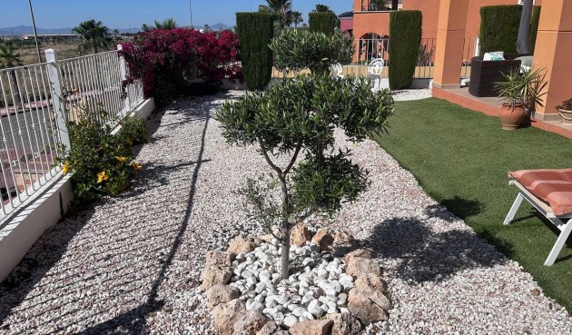 Resale - Apartment -
Altaona Golf - Inland