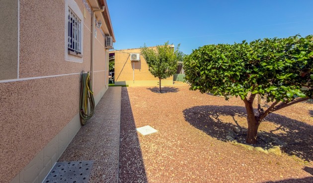 Återförsäljning - Villa -
Catral - Costa Blanca