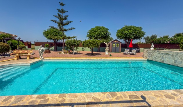 Återförsäljning - Villa -
Catral - Costa Blanca