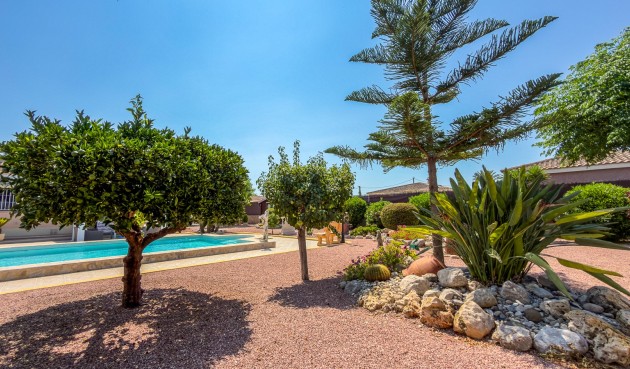 Återförsäljning - Villa -
Catral - Costa Blanca