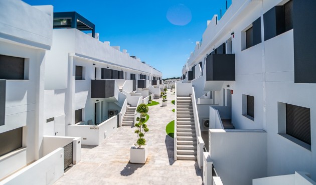 Resale - Apartment -
Torrevieja - Costa Blanca