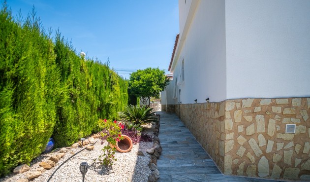 Resale - Villa -
La Marina - Costa Blanca