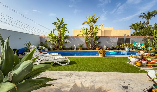 Resale - Villa -
Torrevieja - Costa Blanca