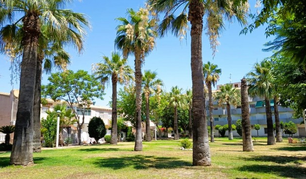Resale - Bungalow -
Orihuela Costa - Costa Blanca