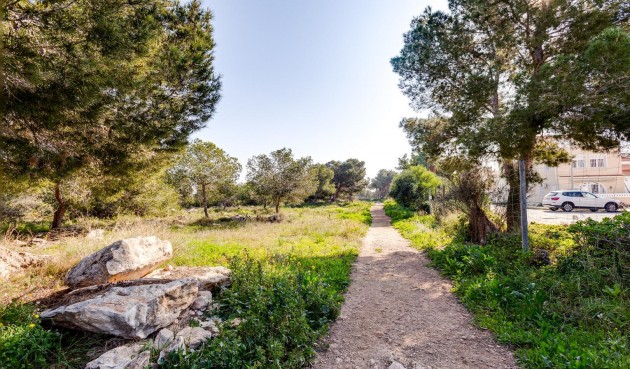 Resale - Town House -
Torrevieja - La Siesta - El Salado - Torreta