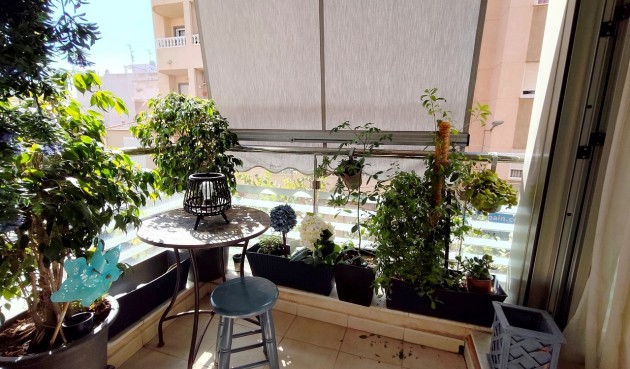 Brukt - Apartment -
Torrevieja - Costa Blanca