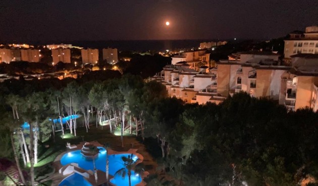 Resale - Apartment -
Orihuela Costa - Altos De Campoamor