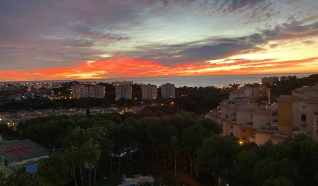 Resale - Apartment -
Orihuela Costa - Altos De Campoamor